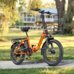 Engwe L20 SE 250W 20" – Bild 8