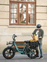 Engwe L20 SE 250W 20" – Bild 15