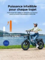 Engwe L20 SE 250W 20" – Bild 12